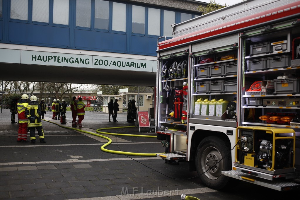 Feuer Zoo Aquarium Koeln Riehl P22.JPG